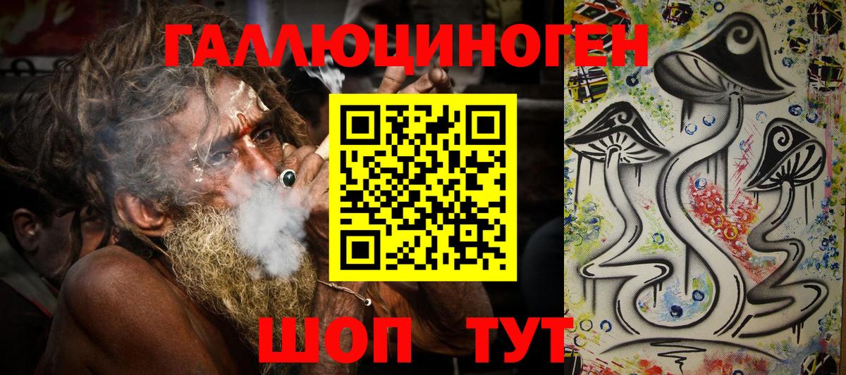 Галлюциногенные грибы Psilocybe Миасс