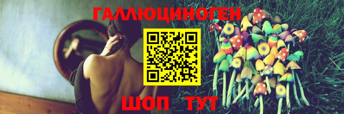 Миасс  Галлюциногенные грибы Cubensis  Вход с VPN 