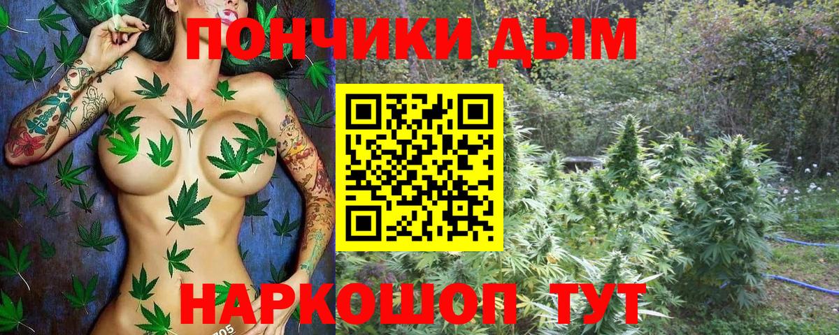 Миасс  Шишки марихуана марихуана  Марихуана тримм  Вход с VPN 
